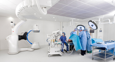 MedicalFieldimage2 Boujanegoce